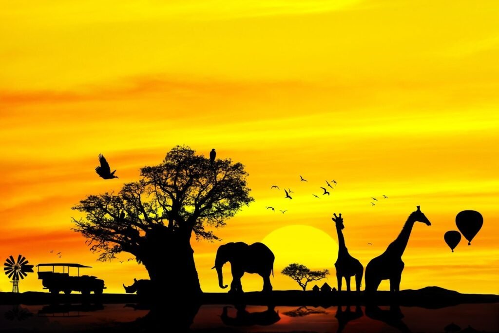Serengeti sunset